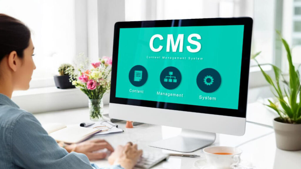 custom wordpress development