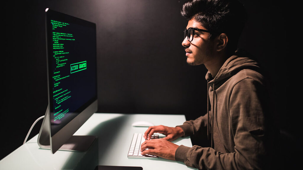 master wordPress development