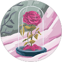 Vaishnavi Pandhare profile picture