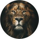 Meet Desai profile picture